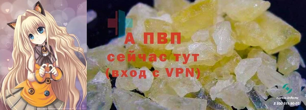 индика Иннополис