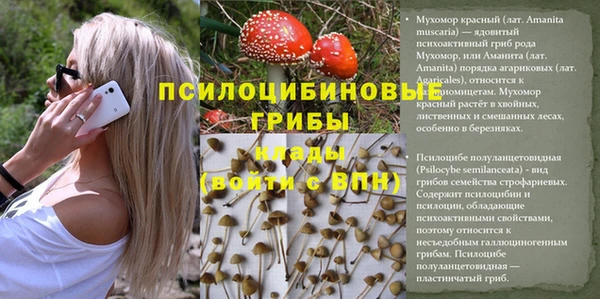 индика Иннополис