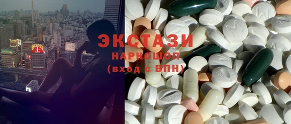 ECSTASY Инсар