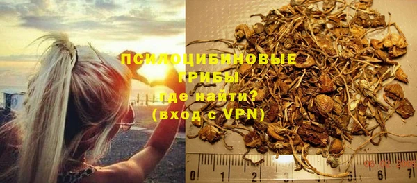 ECSTASY Инсар