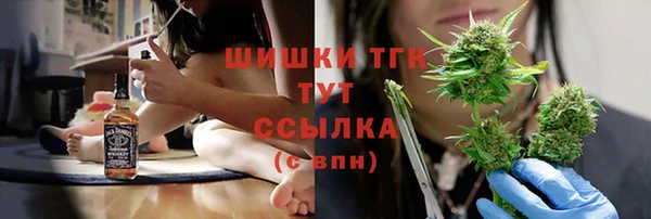 индика Иннополис