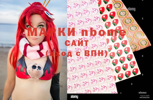 индика Иннополис