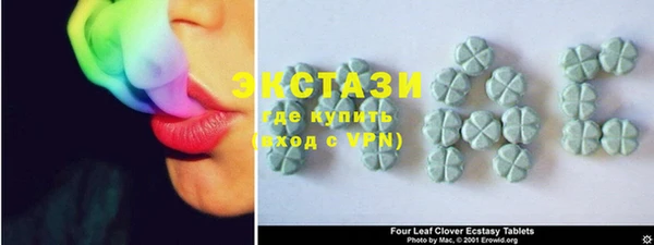 ECSTASY Инсар