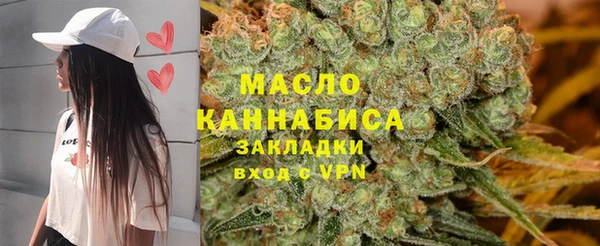 индика Иннополис