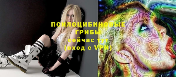 индика Иннополис