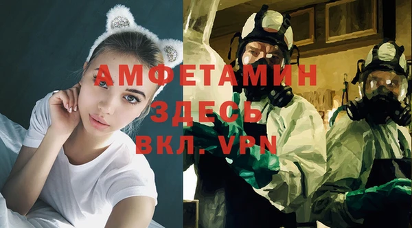 ECSTASY Инсар