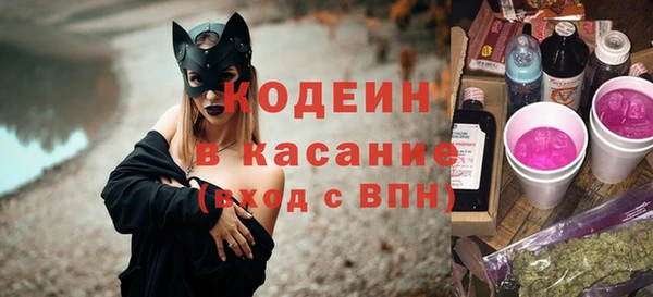 ECSTASY Инсар