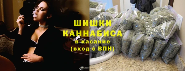 ECSTASY Инсар