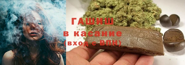 индика Иннополис